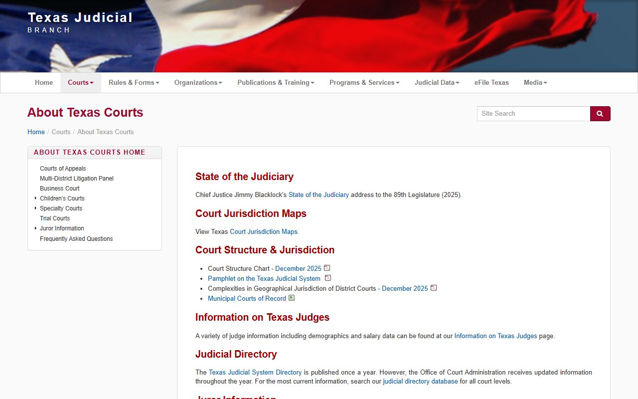 Collin County court records and the Texas courts overview page